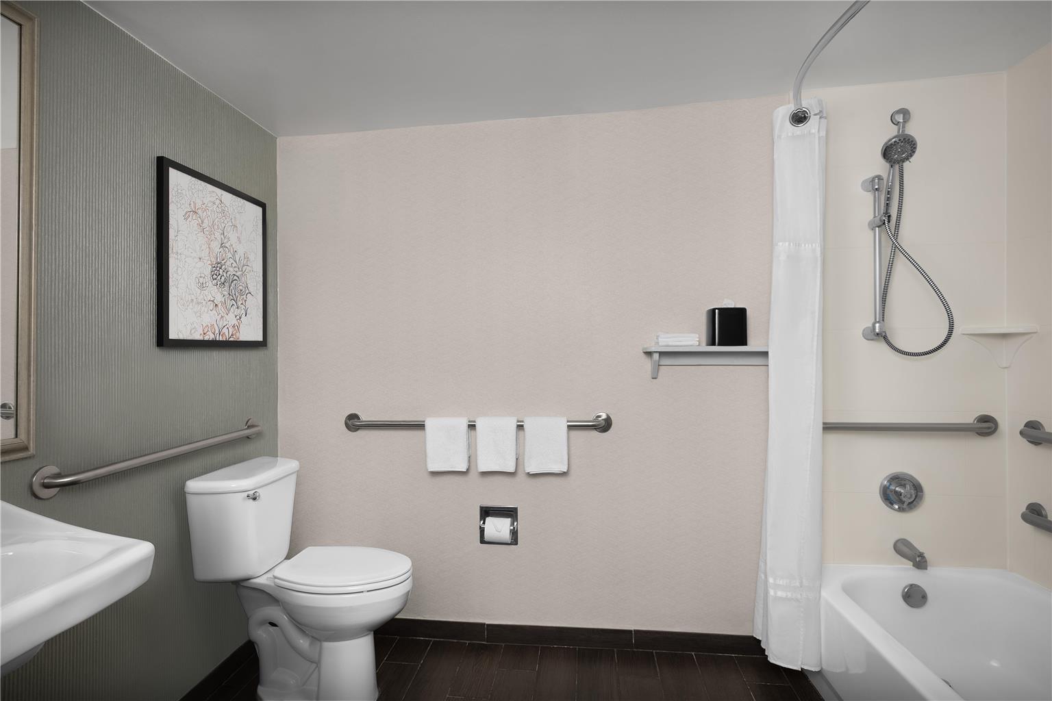 Фото Hilton Garden Inn Philadelphia/Ft. Washington