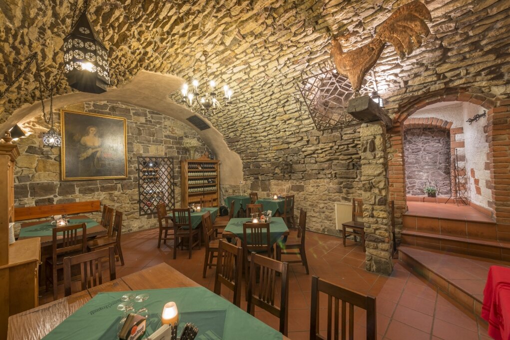 Фото Hotel Cerny Slon