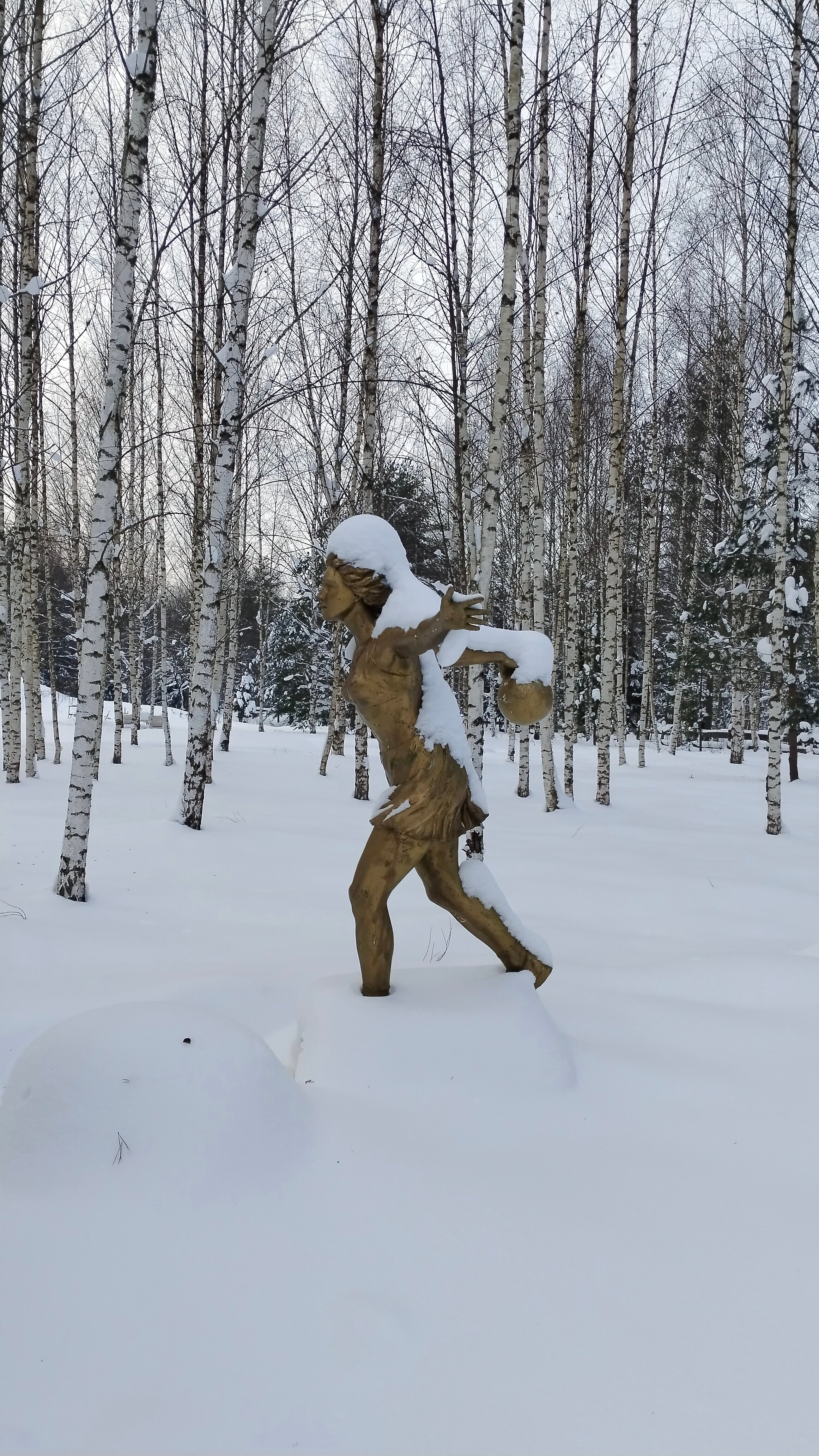 Фото Заповедник впечатлений