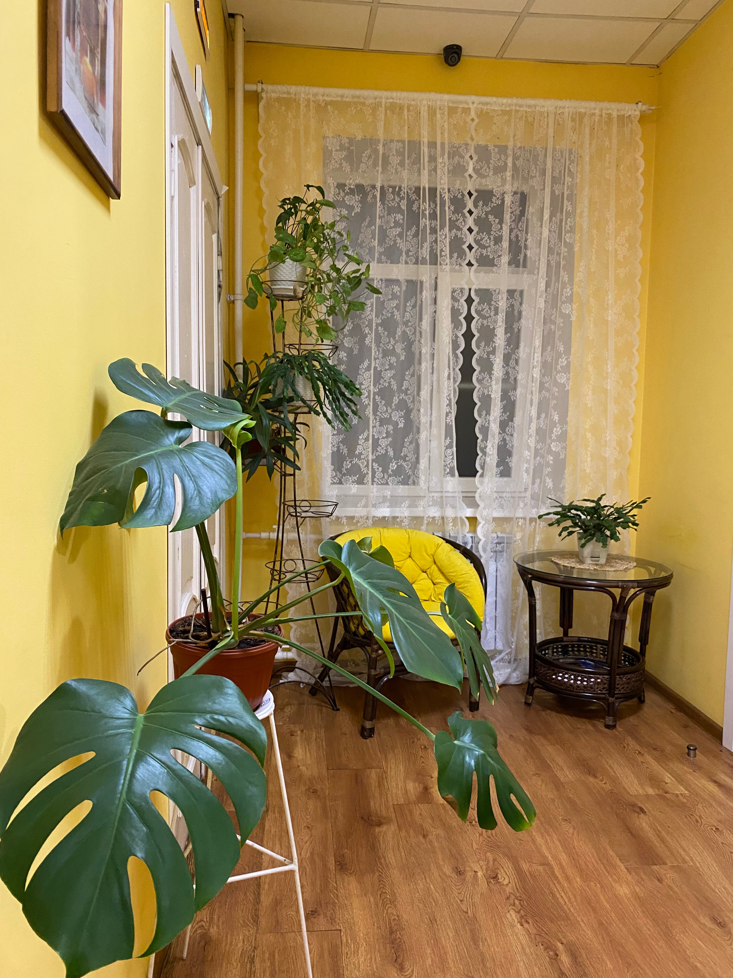 Фото Арк хостел