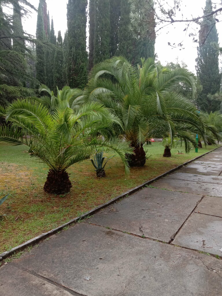 Fountain Fountain, Dubai, photo