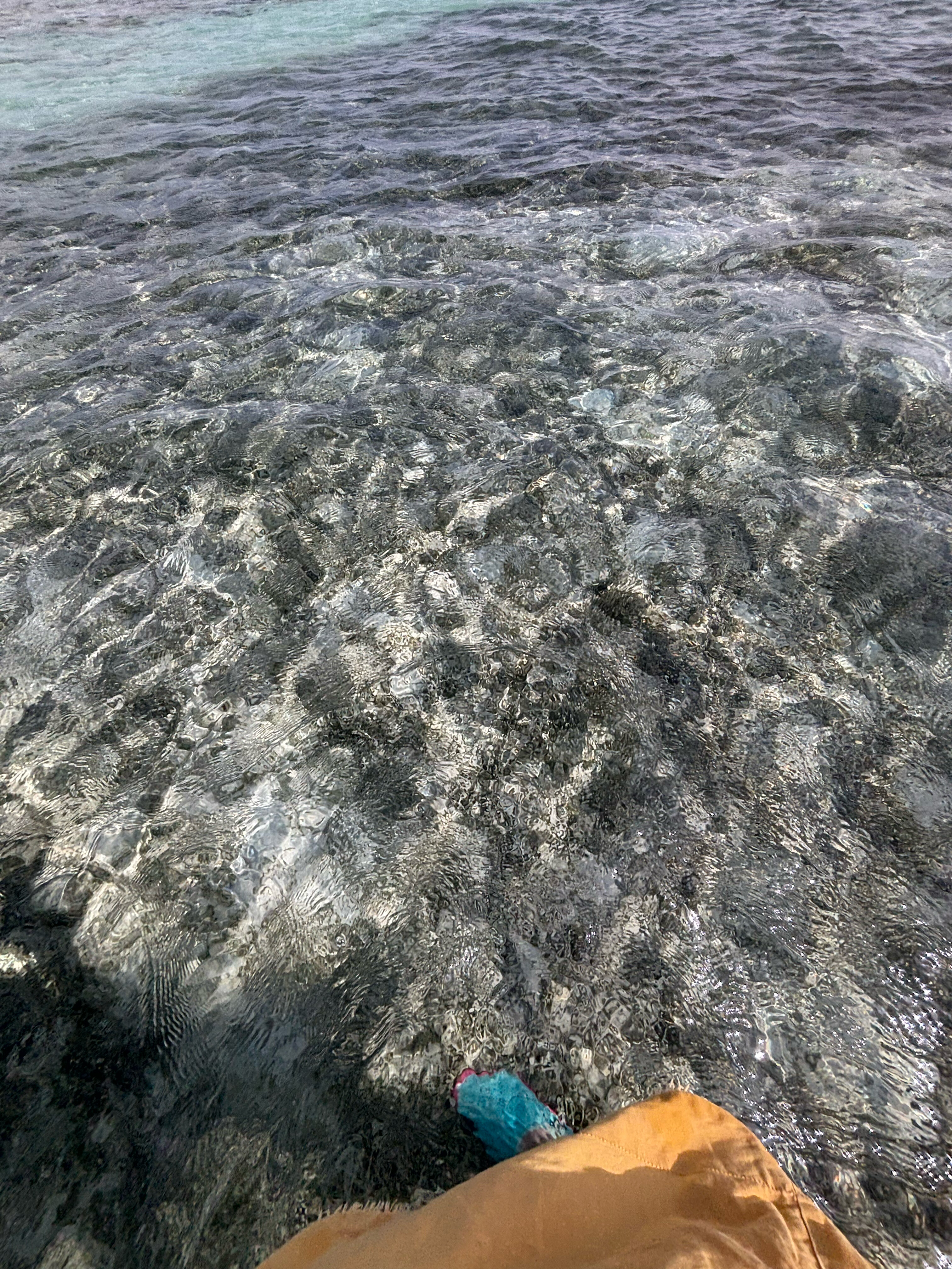 Фото Jaz Elite Asteria