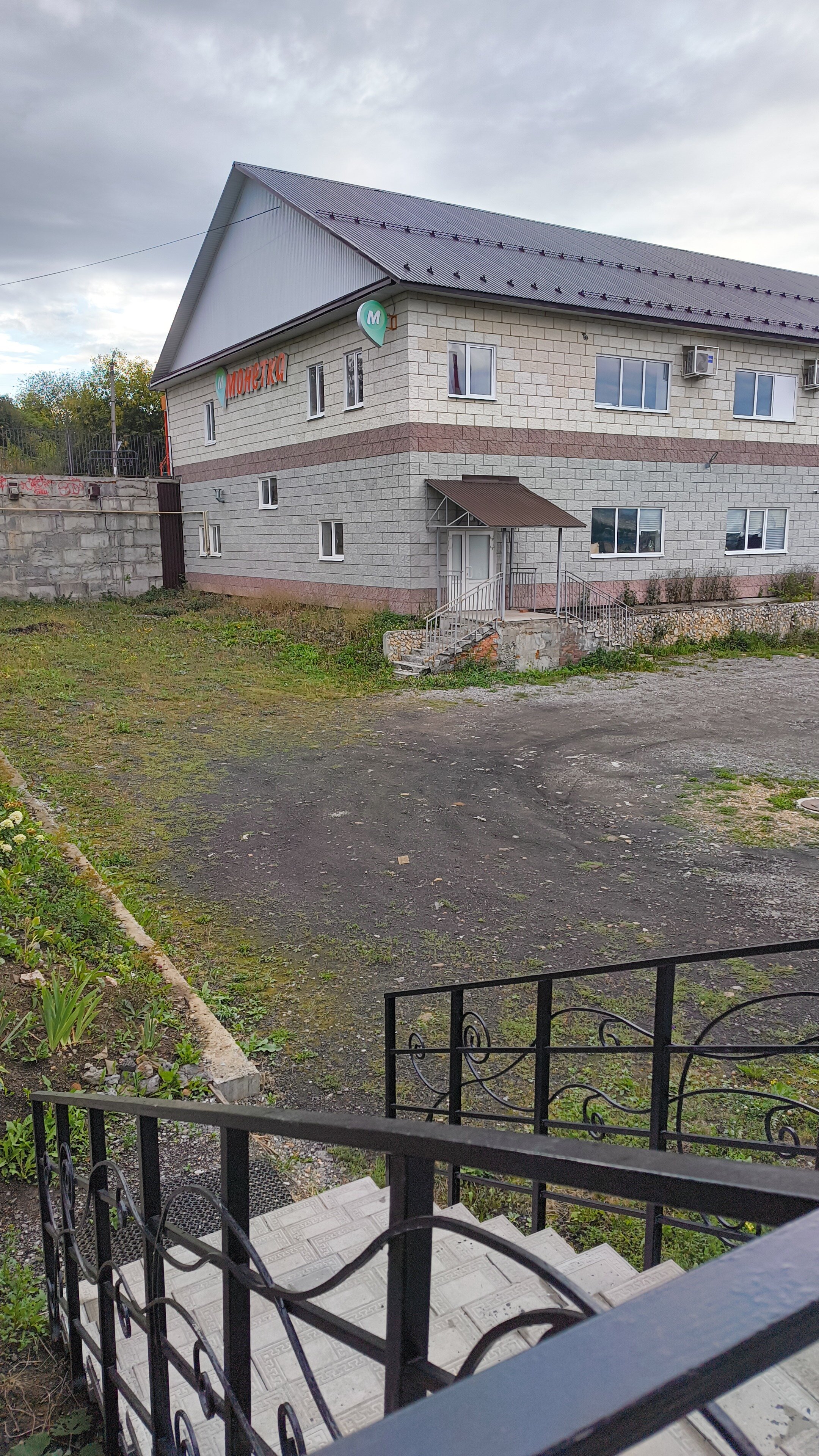 Фото Подорожник