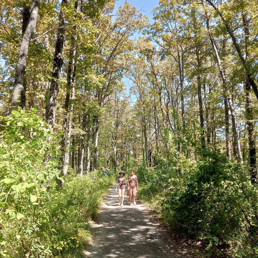 Landmark, attraction База отдыха Туапсе, Tuapse, photo