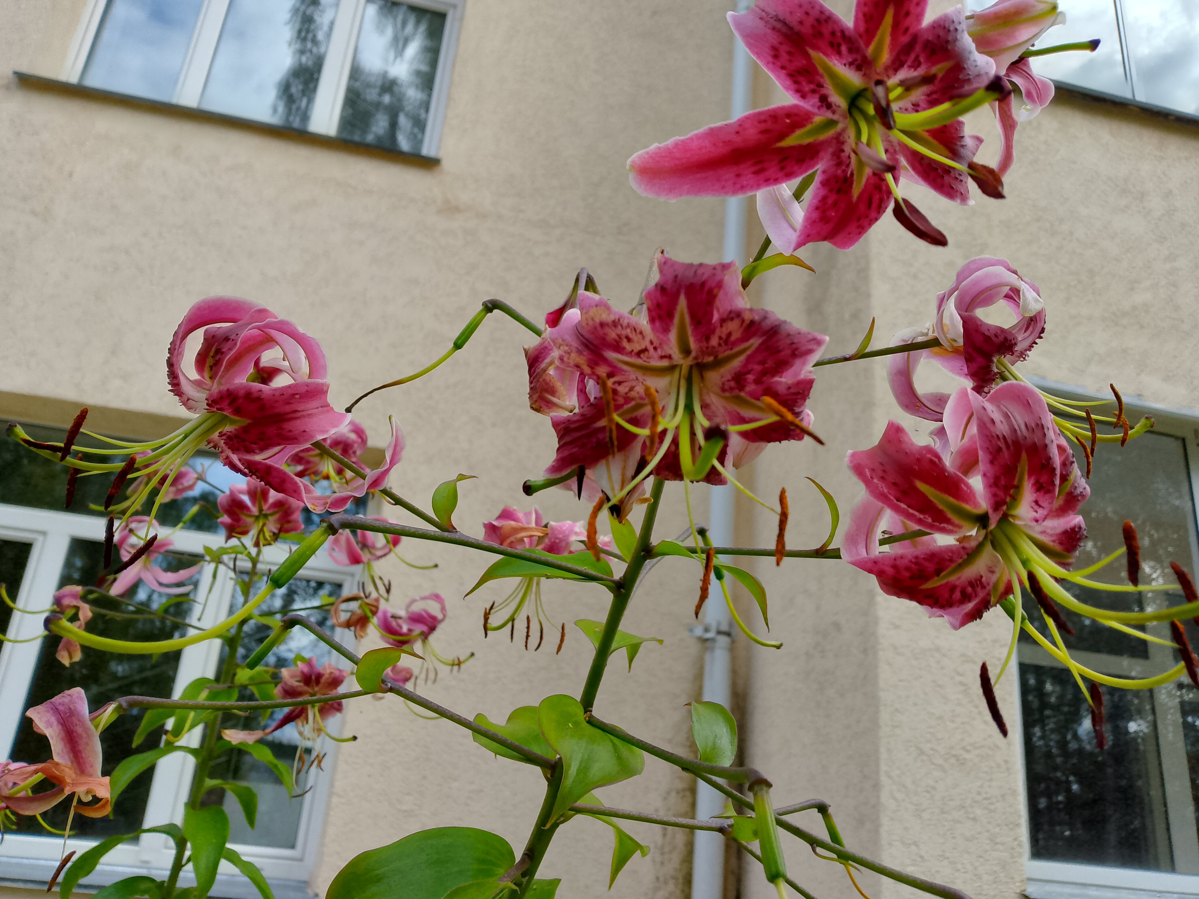 Фото Нижние Серги