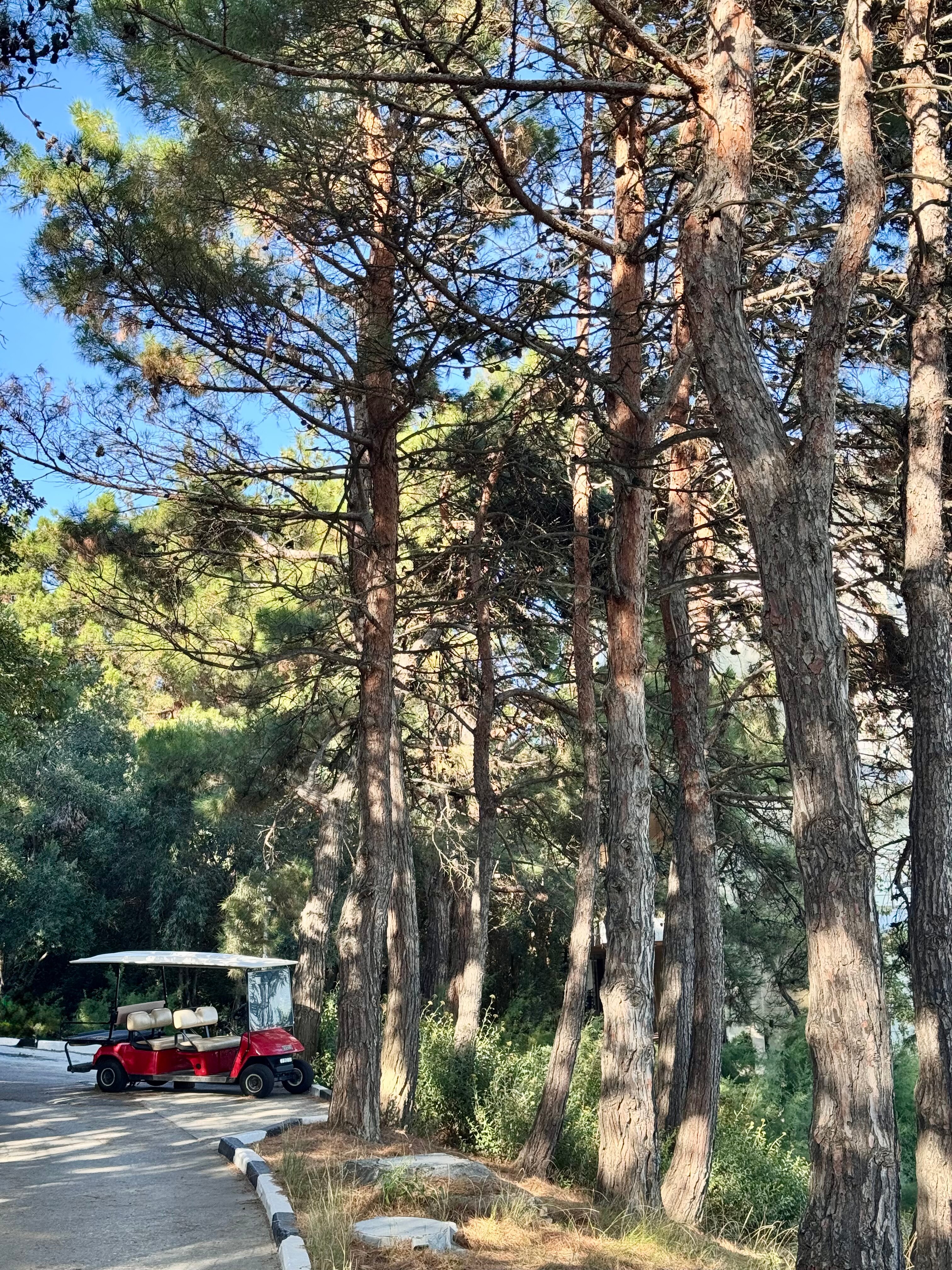 Фото Вилла Мишель