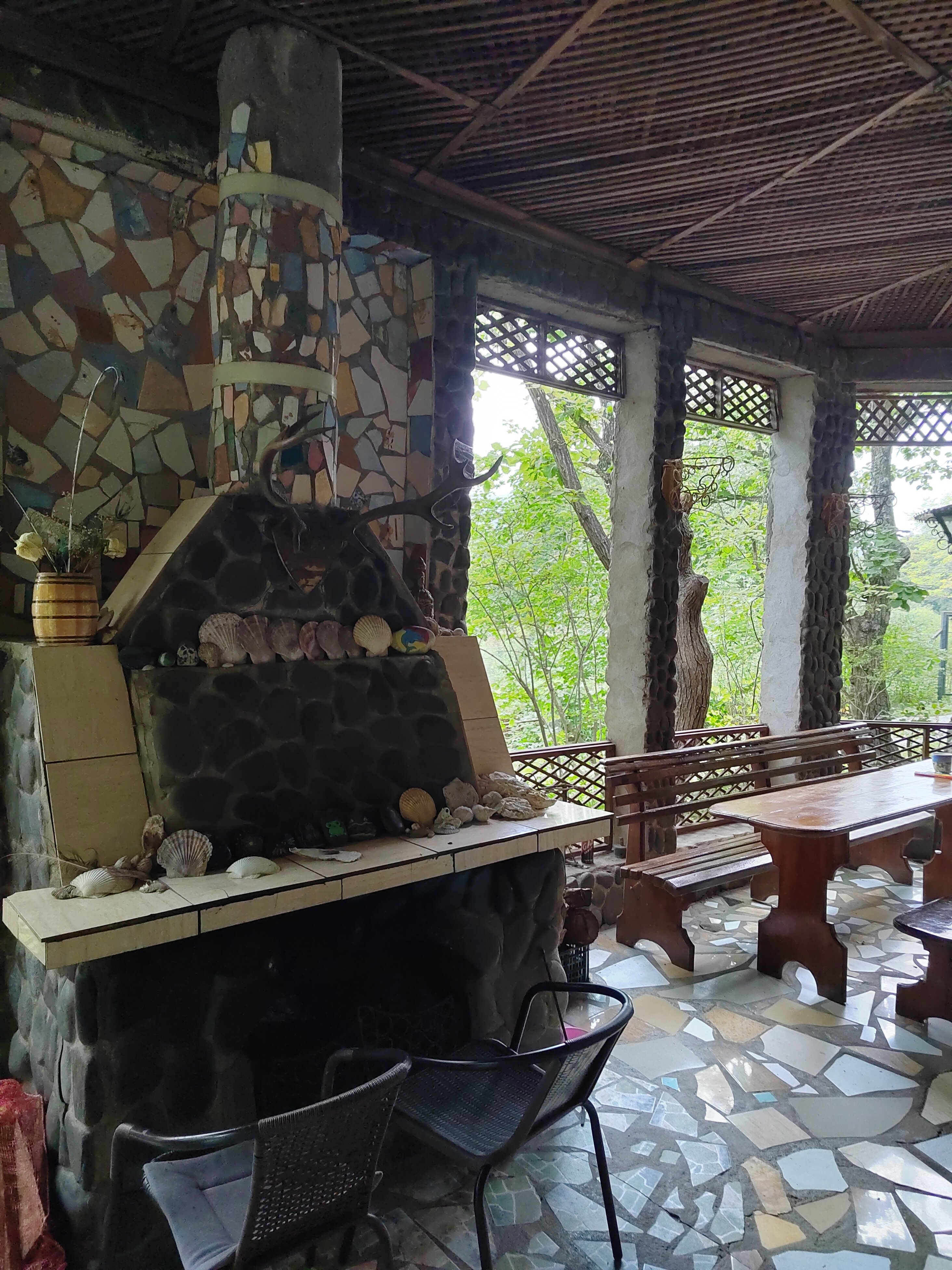 Фото Дельфин