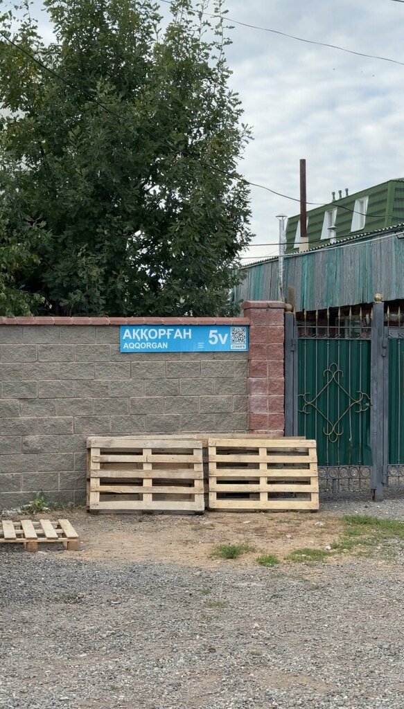 Animal shelter I'm alive, Astana, photo