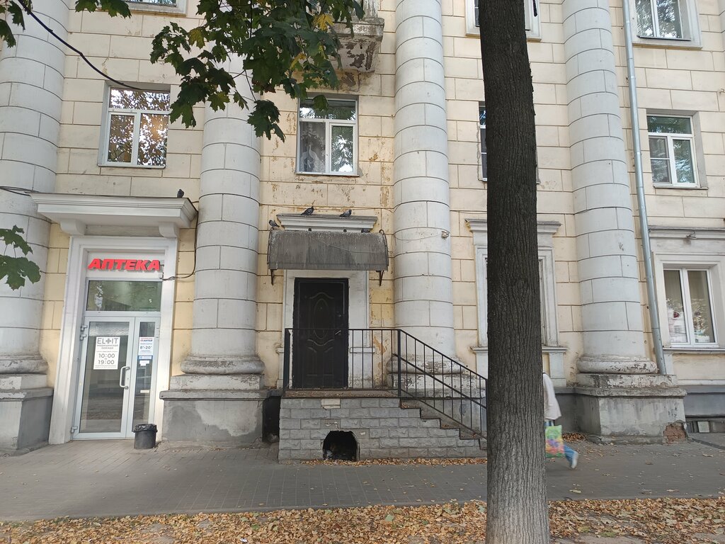 Legal services Zubr, Yaroslavl, photo