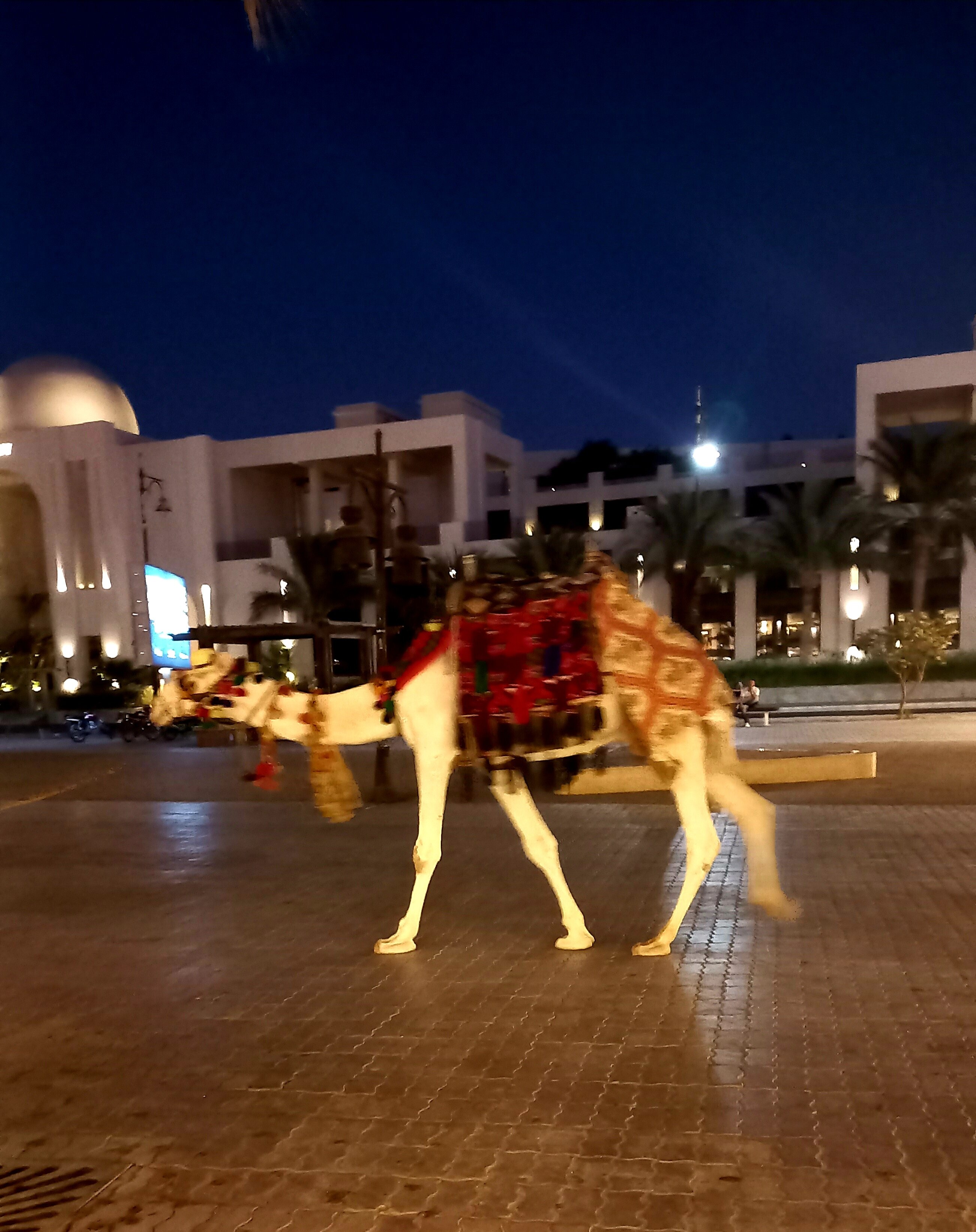 Фото Sindbad Club