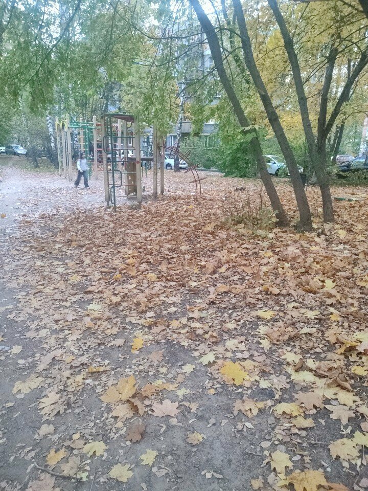 Playground Playground, Nizhny Novgorod, photo