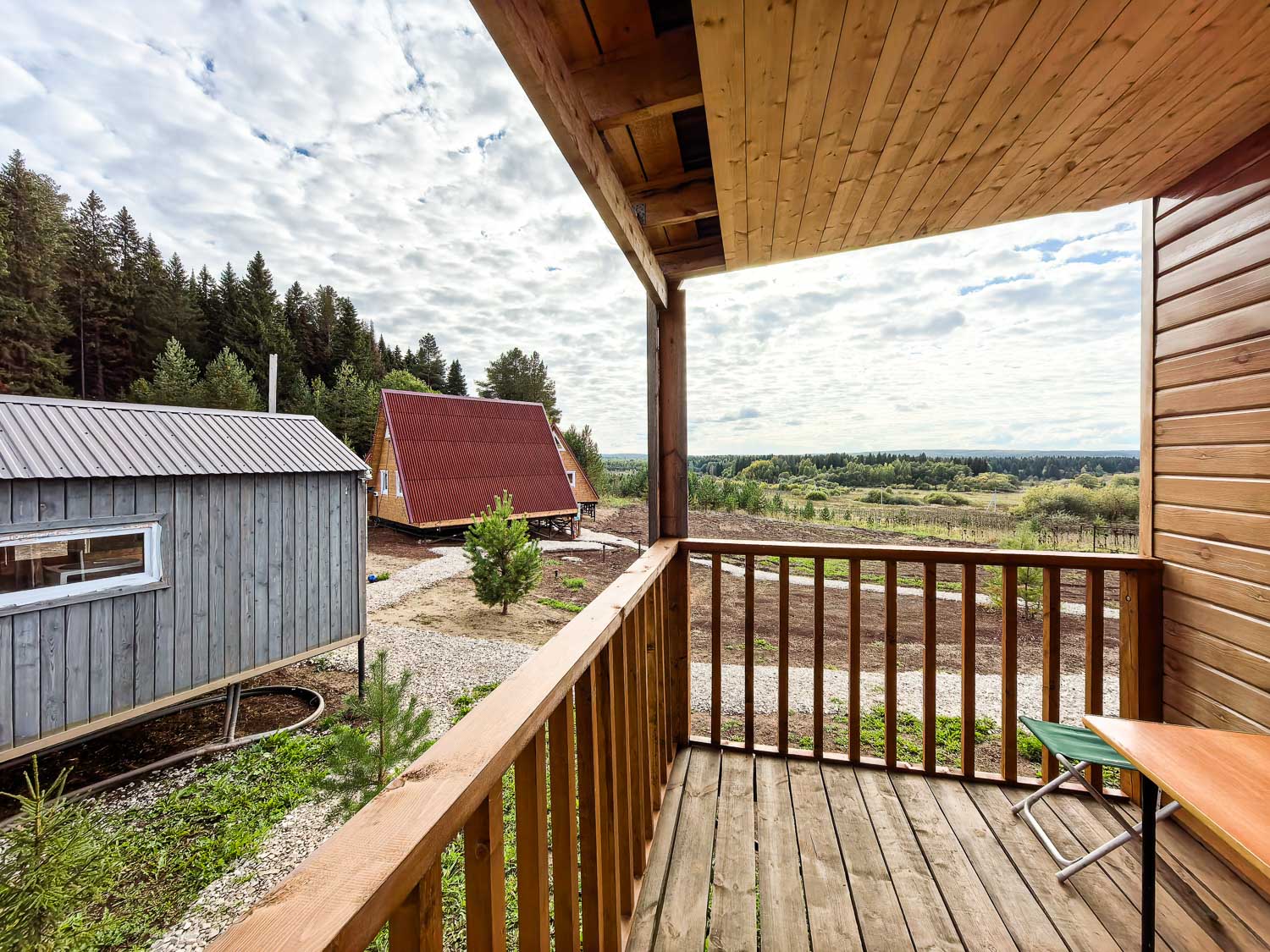 Фото Елки Иголки