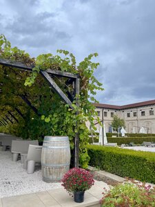 Castel Mimi Wine Resort (Новоаненский район, село Бульбоака), гостиница в Новоаненском районе