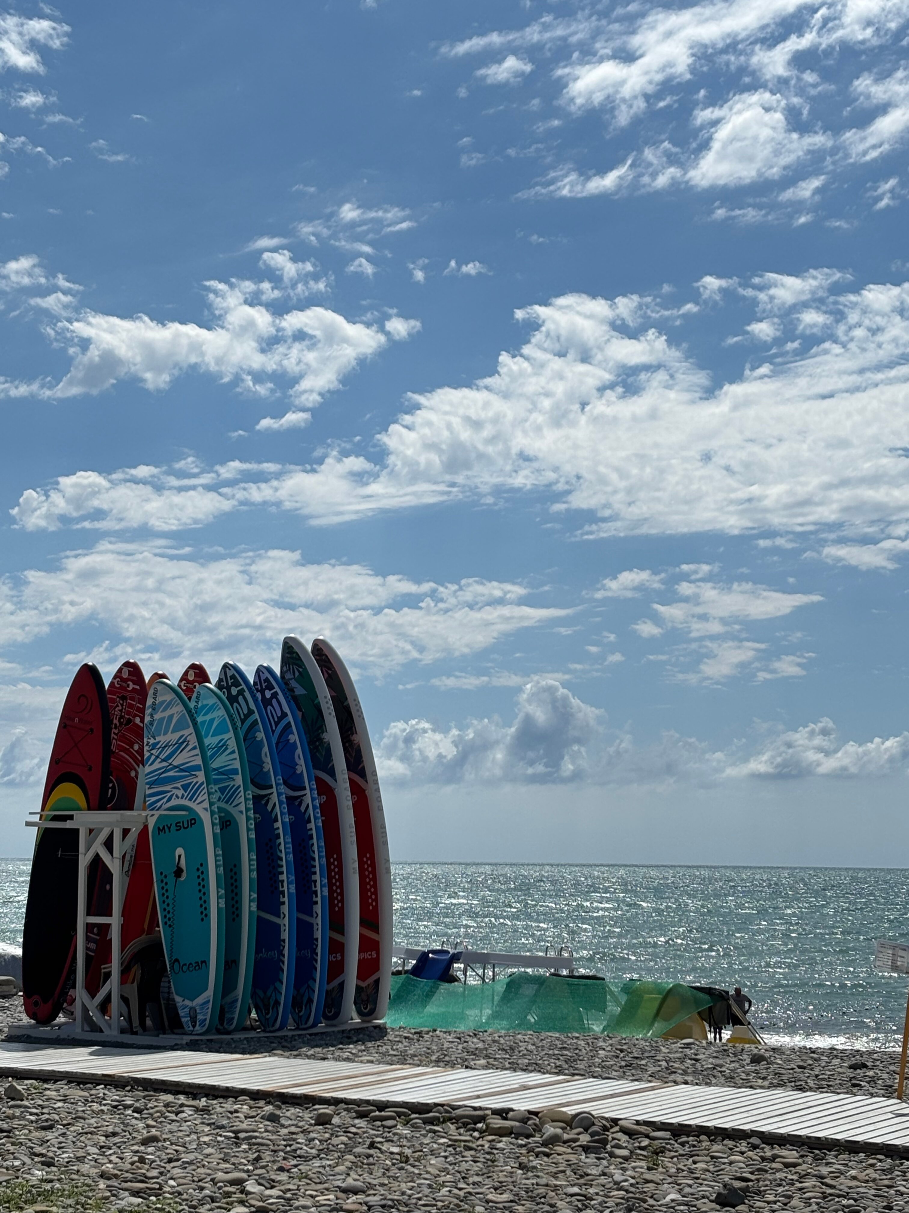 Фото Черный кот