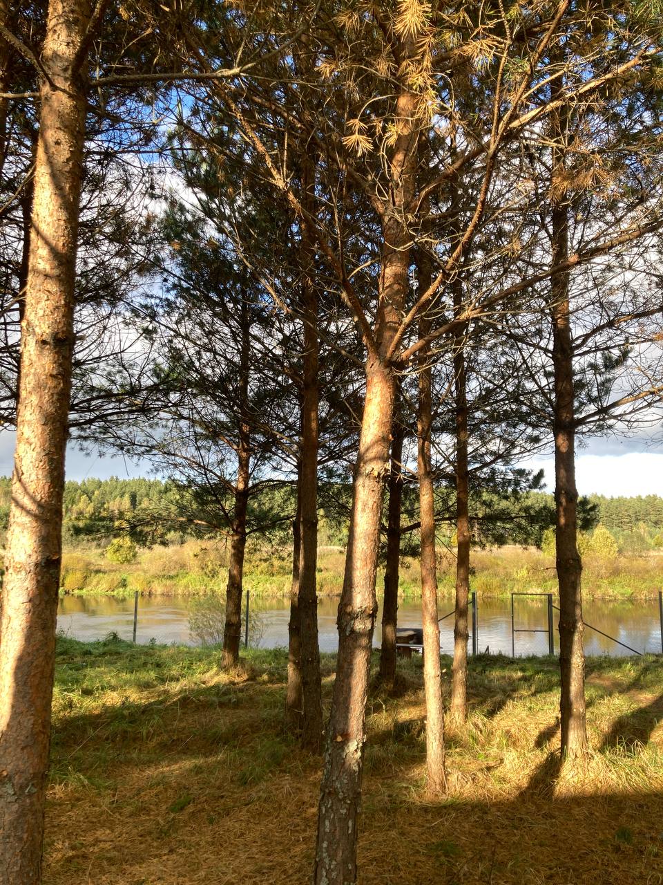 Фото Александровские дачи