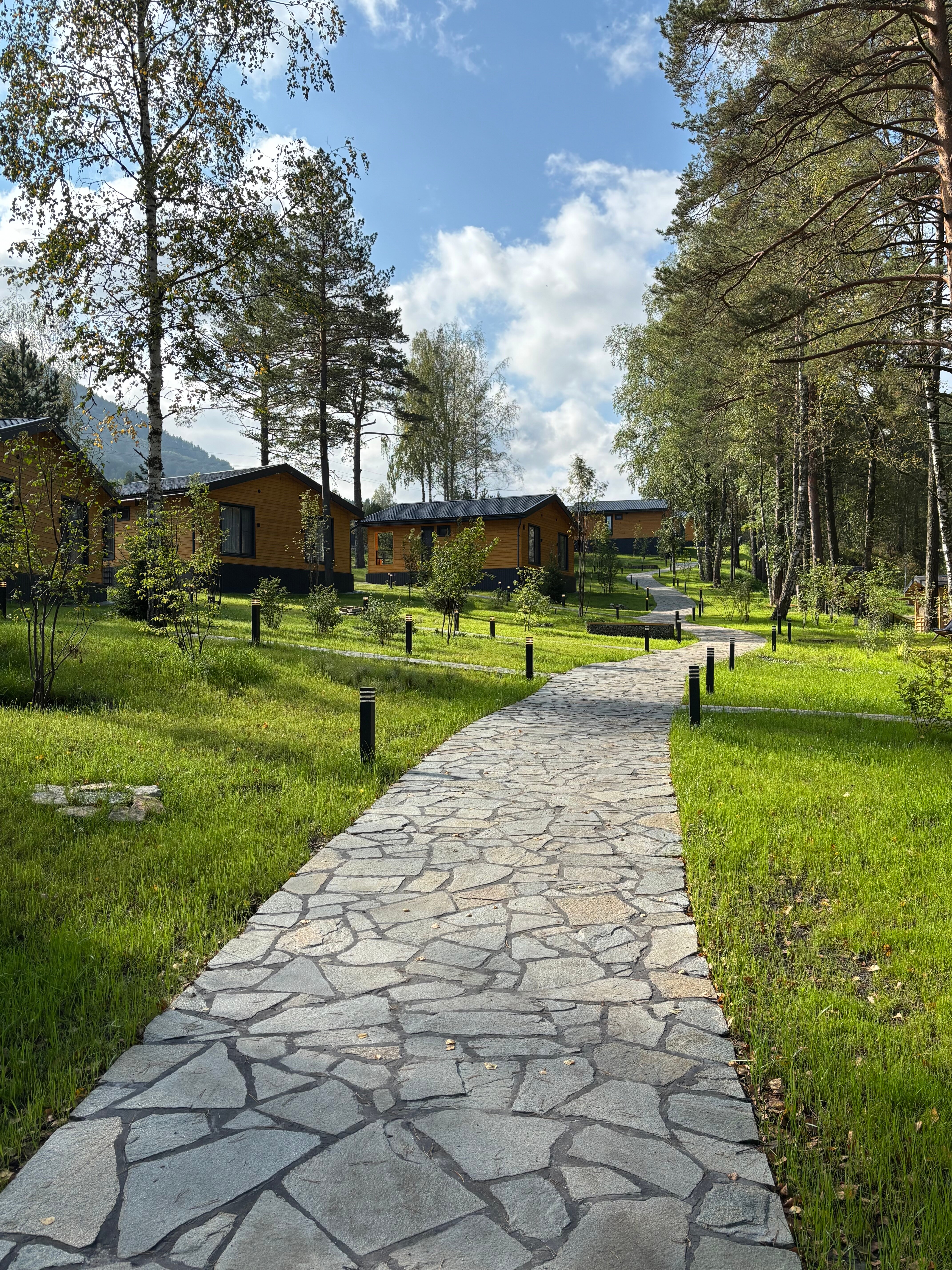 Фото Forest Green