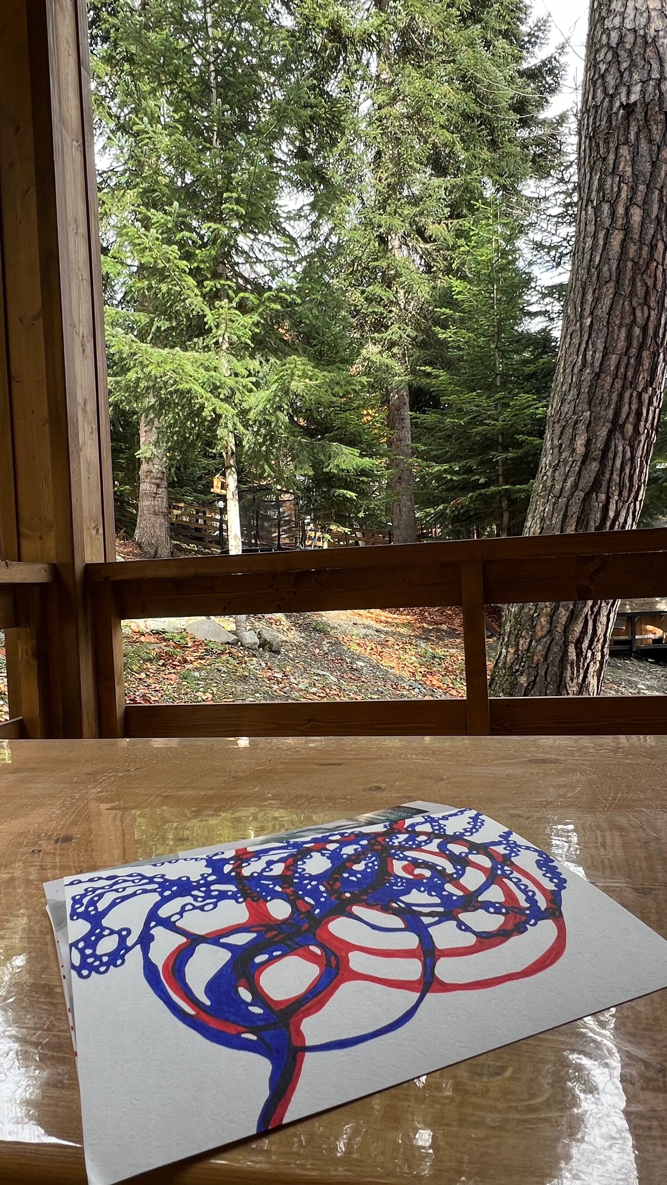 Фото Мимино