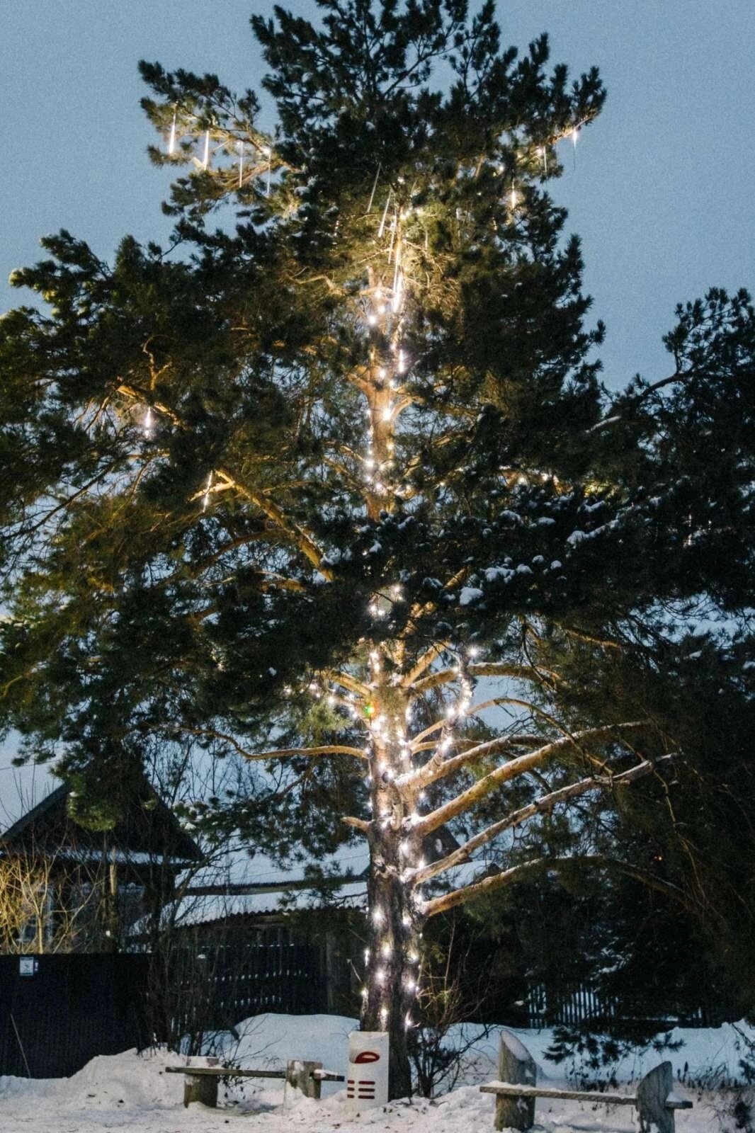 Фото Дача на лесной