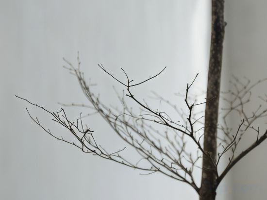 Фото Lloyd's Inn Kuala Lumpur