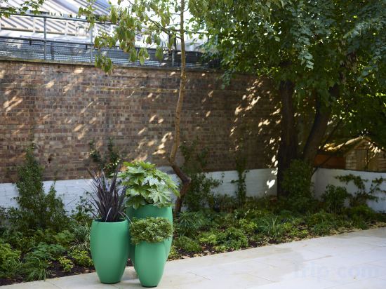 Фото Mayflower Hotel