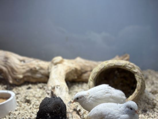 Фото Tianjin Polar Ocean Hotel