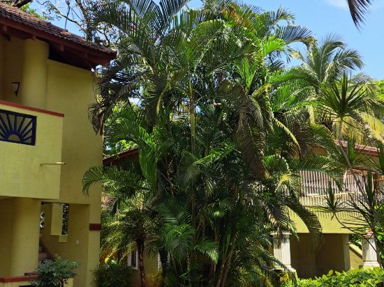 Фото Novotel Goa Dona Sylvia Resort Hotel