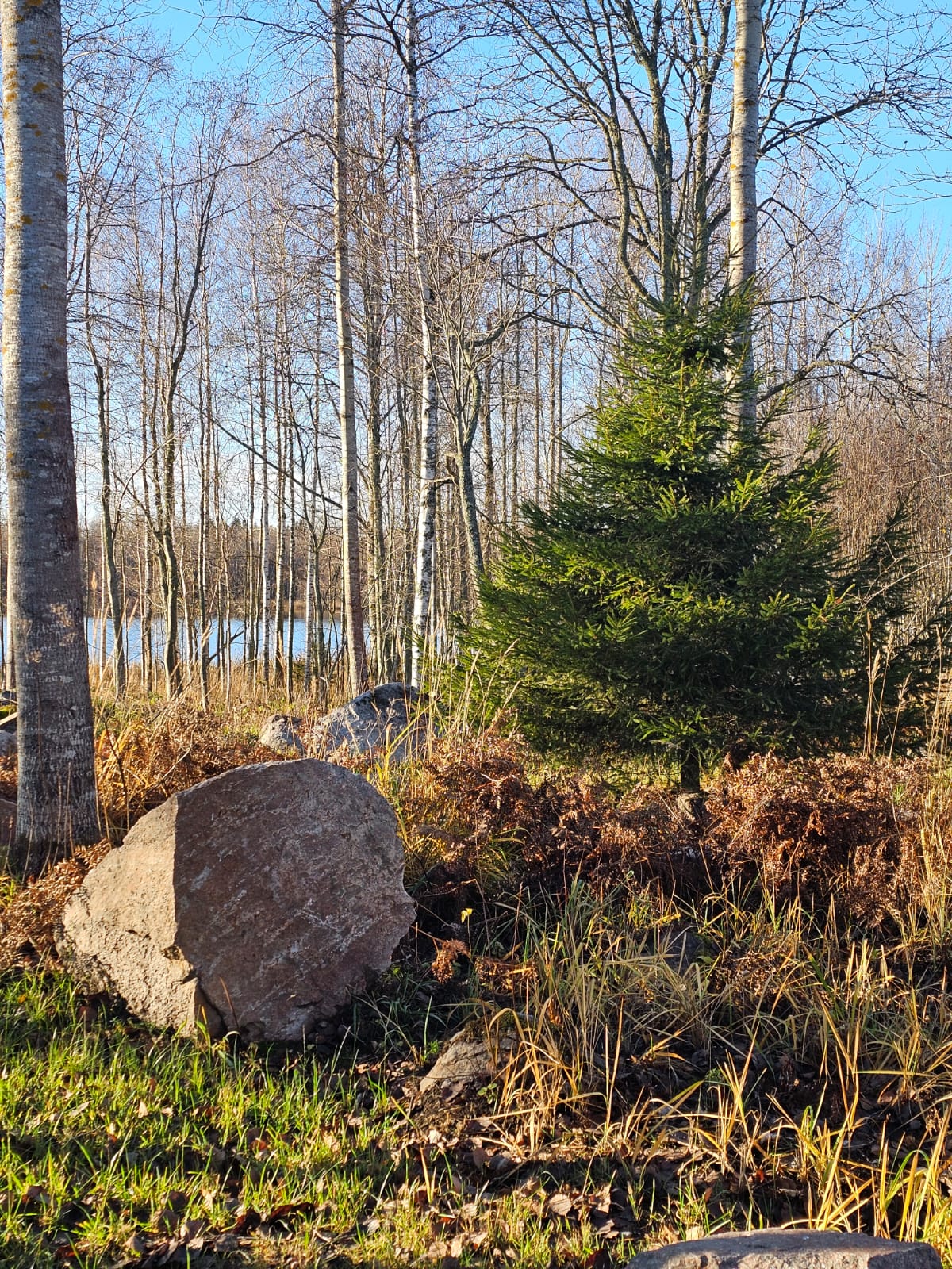 Фото Здесь живут камни
