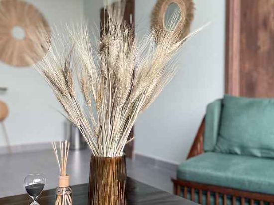 Фото Leaf Hotel Phu Quoc