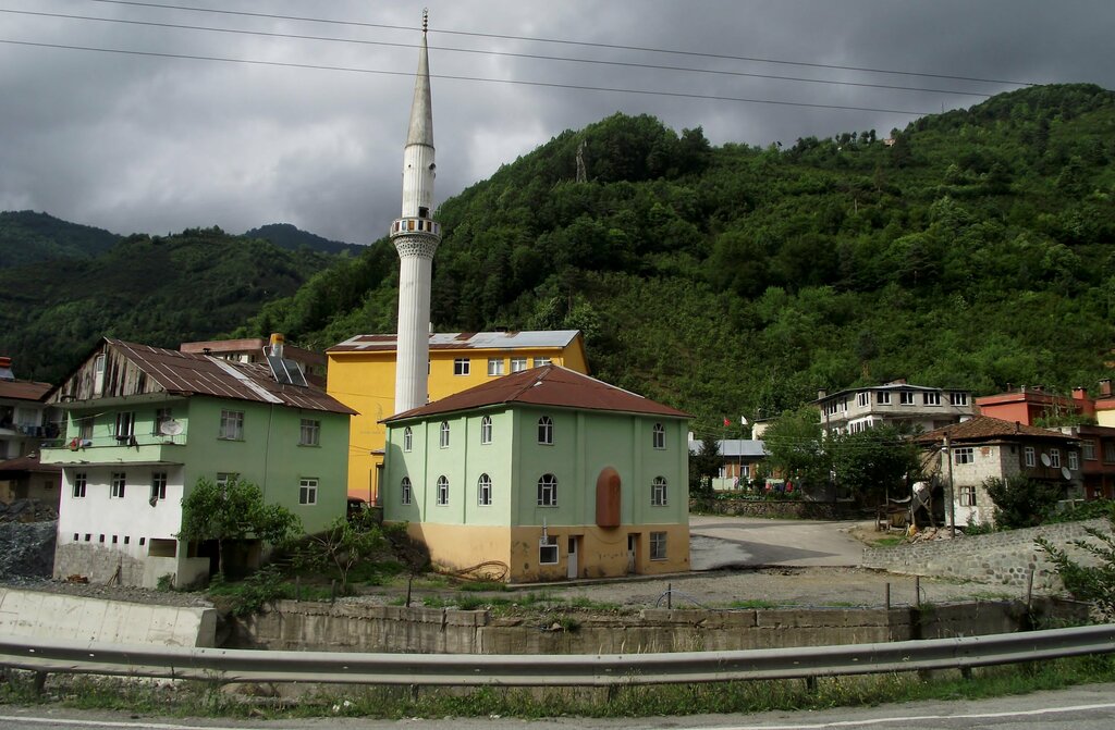 Mosque Demirciler Village Handuzu Neighborhood Mosque, Borcka, photo