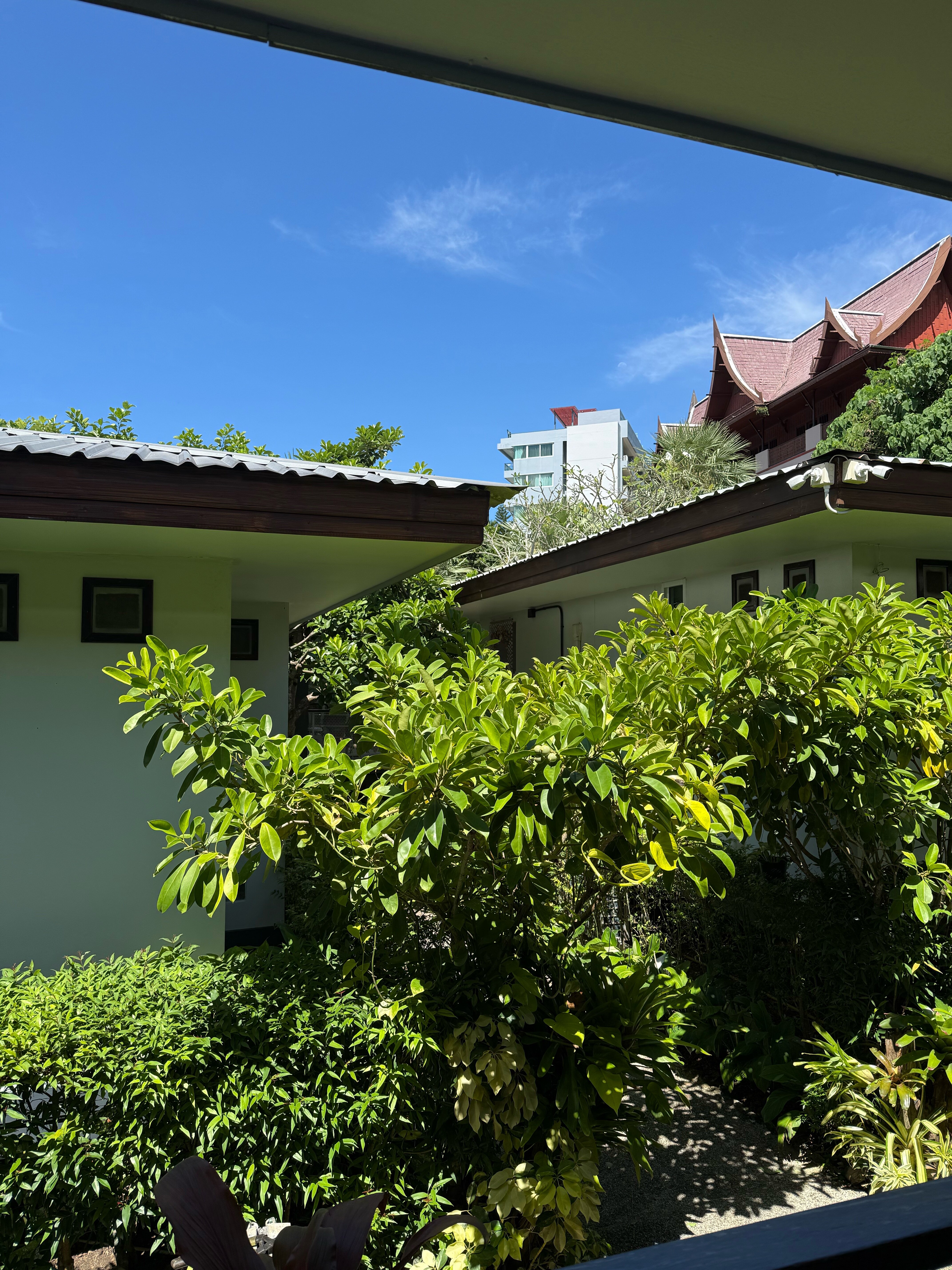 Фото Kata Tranquil Villa