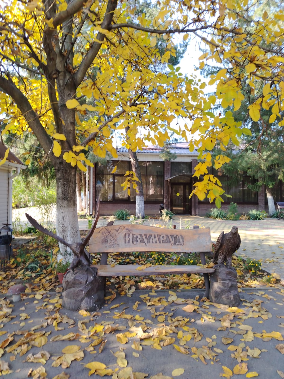 Фото Изумруд