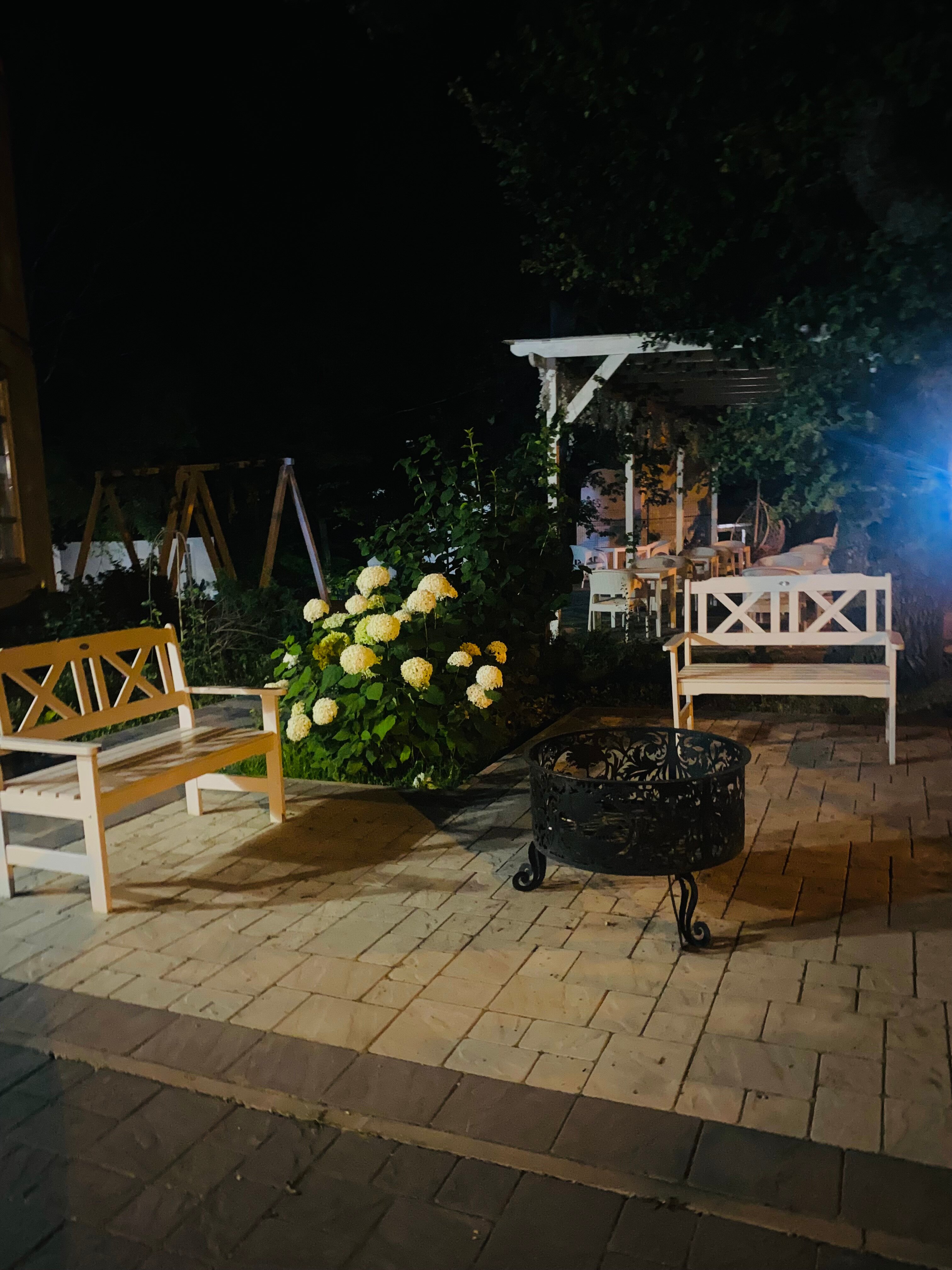 Фото Жемчужина