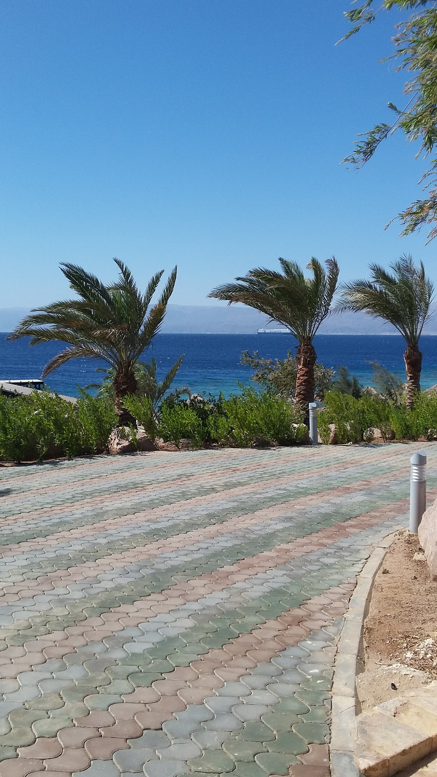 Фото Hotel Golden Tulip Aqaba Red Sea