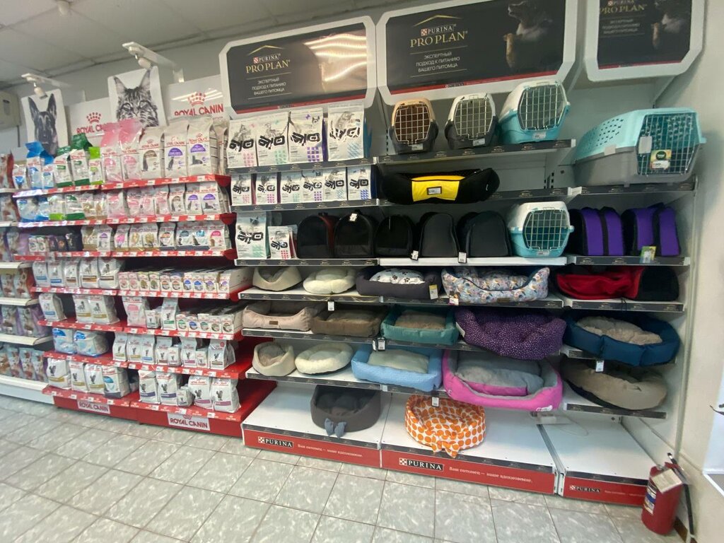 Pet shop Мокрый нос, Rostov‑na‑Donu, photo
