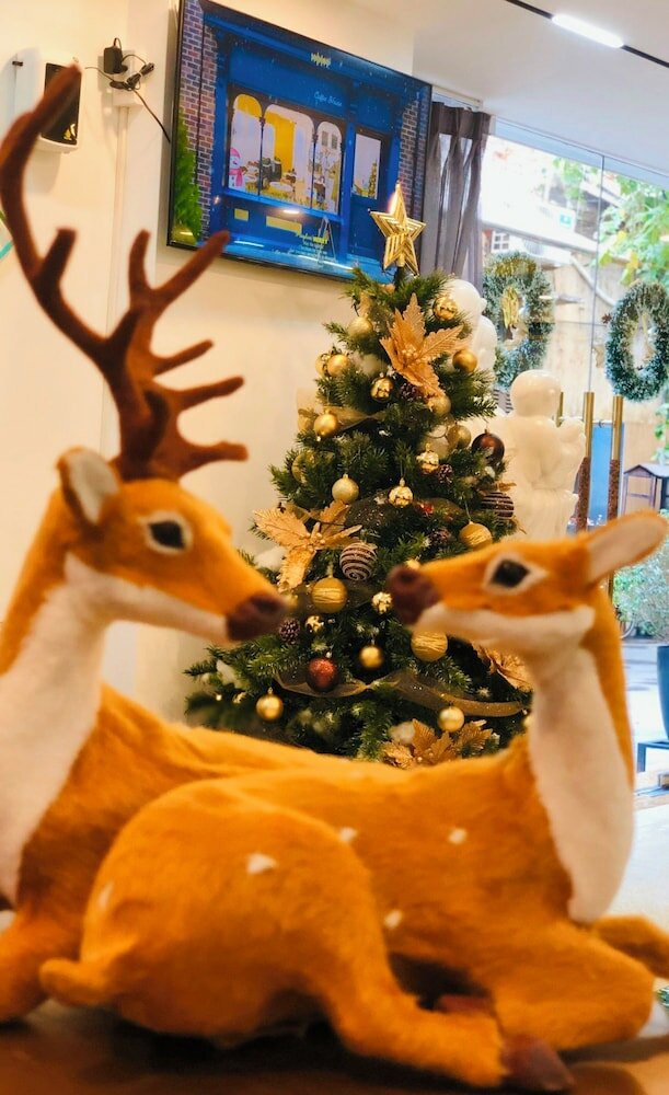 Фото Singita Classy Boutique Hotel