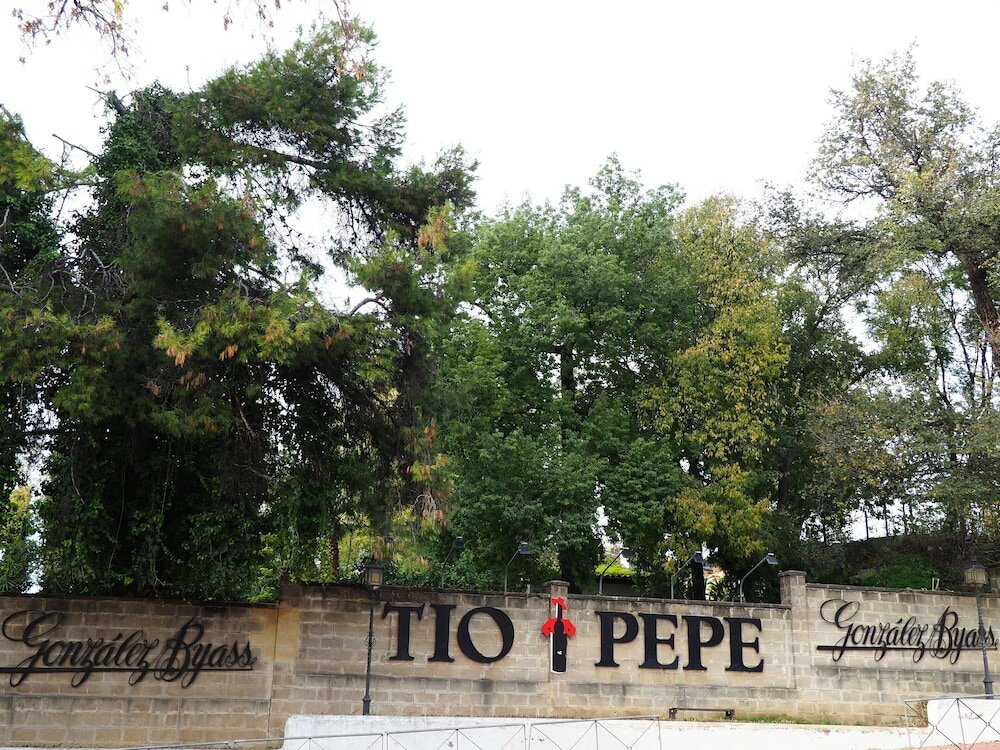 Фото La Siezzzta