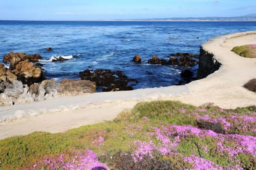 Фото Deer Haven Inn