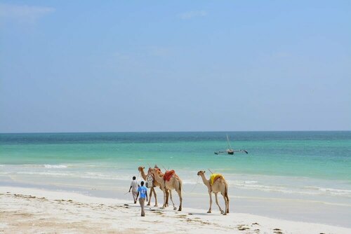 Внешний вид отеля Neptune Paradise Beach Resort & SPA в Кинондо, фото 5