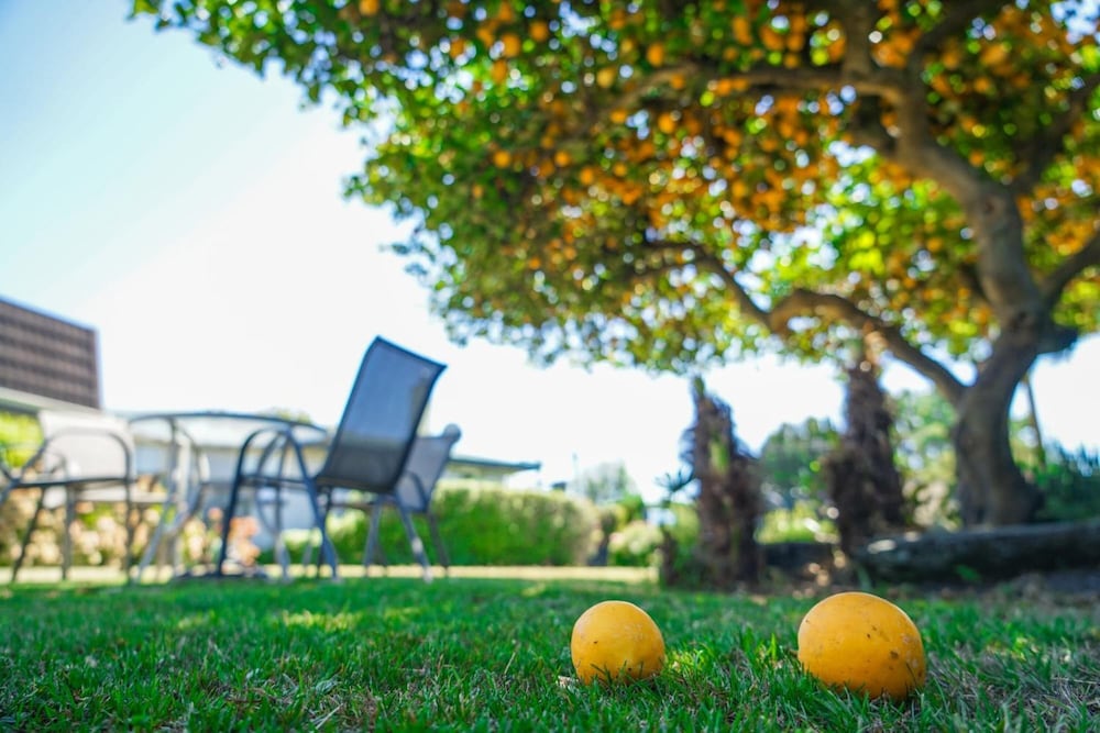 Фото Montana Lodge Motel