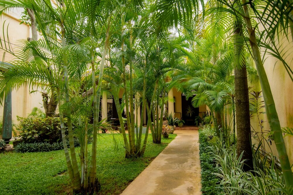 Фото Mango House