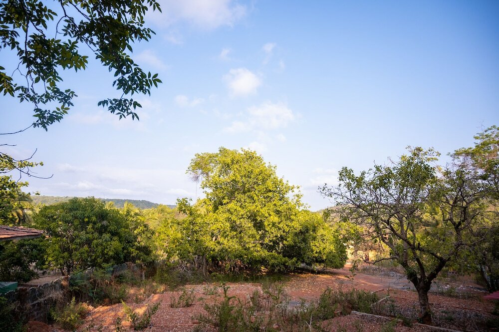 Фото Meraden La Oasis