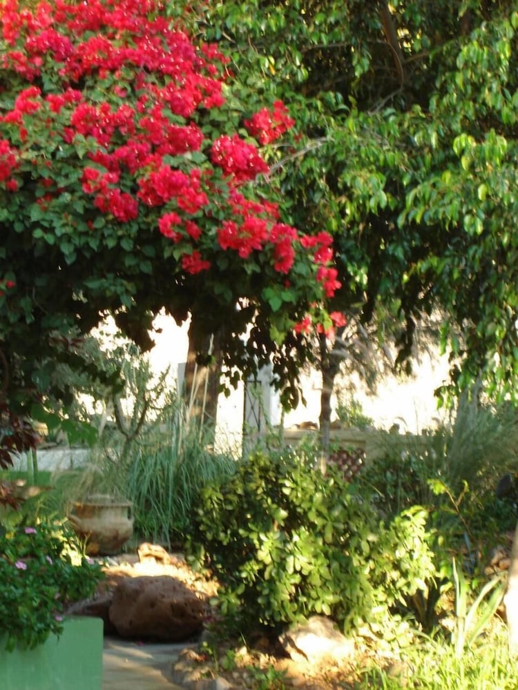 Фото Corona Guest Farm