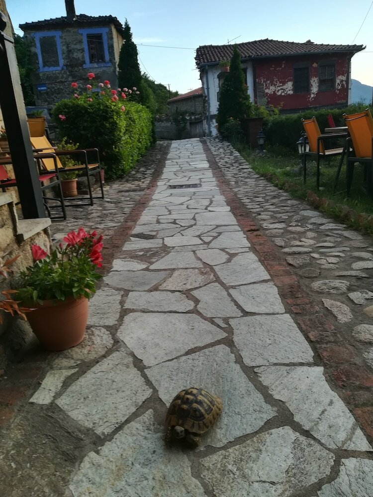 Фото Archontiko Mesohori