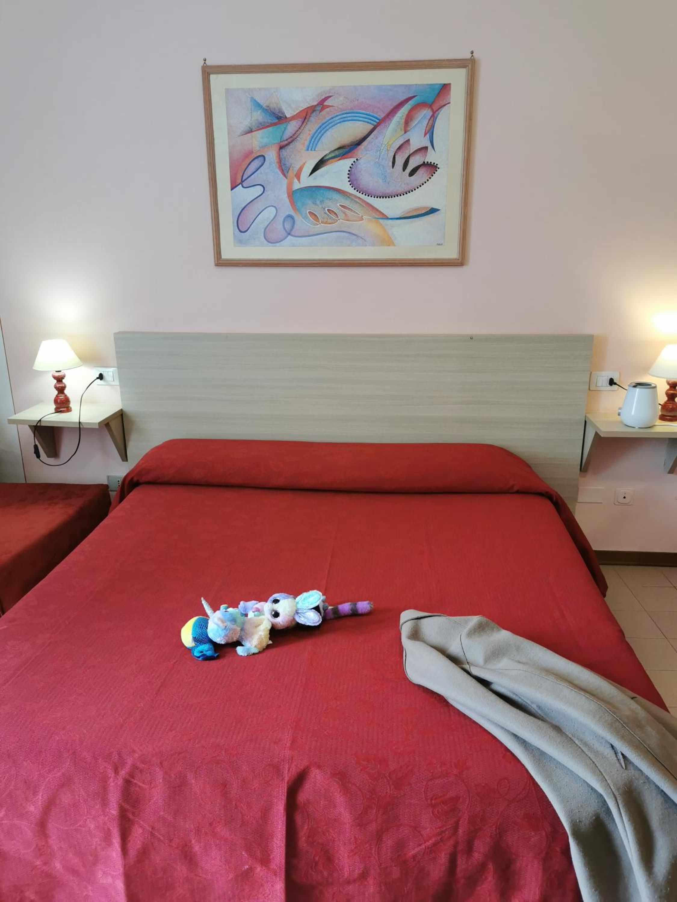 Фото Hotel San Rufino