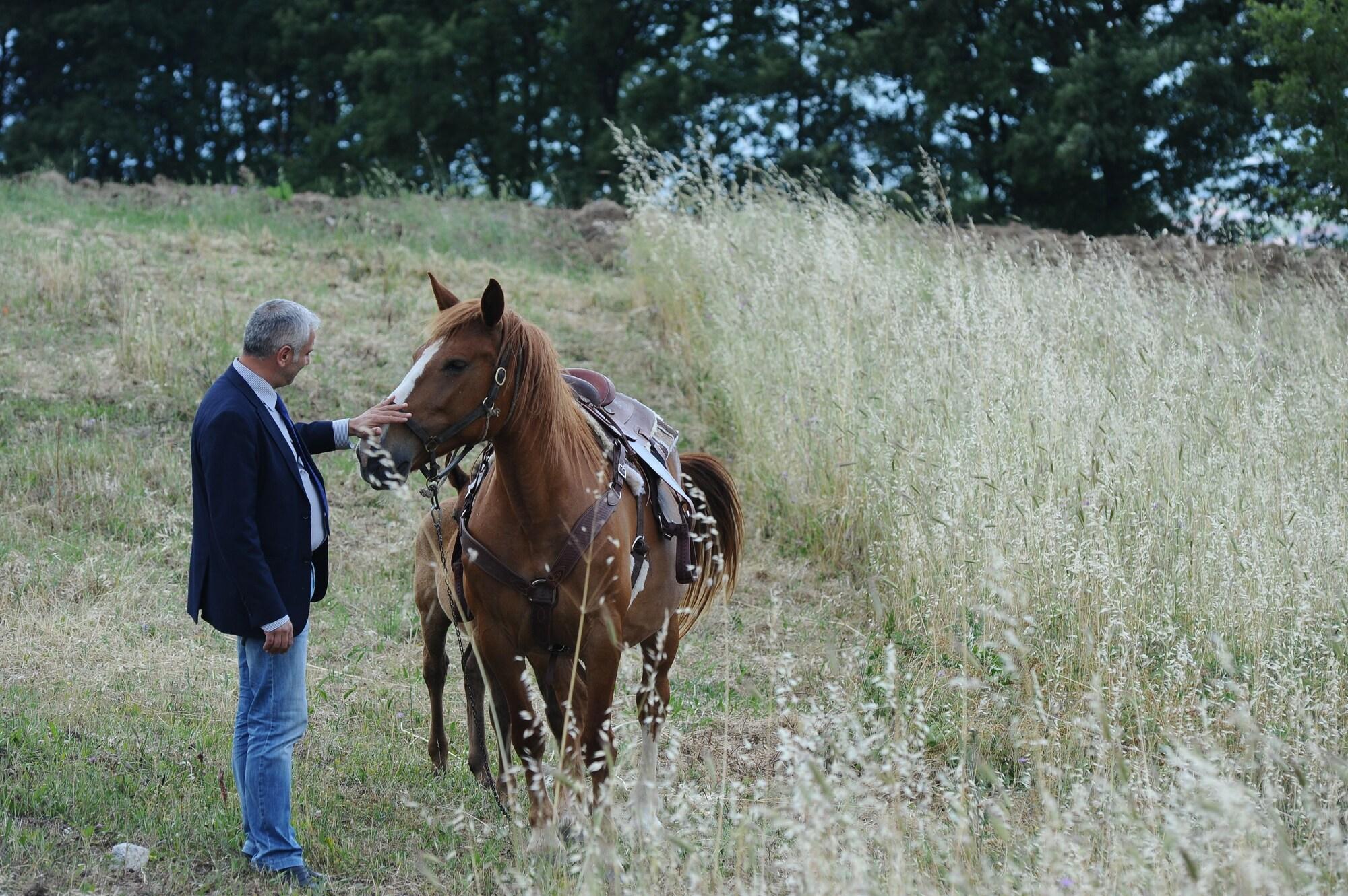 Фото Eliceto Resort