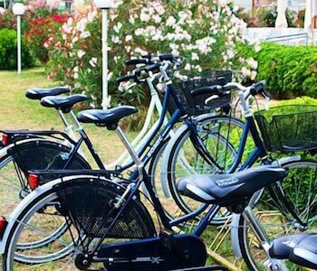 Фото Hotel Torre Del Sole