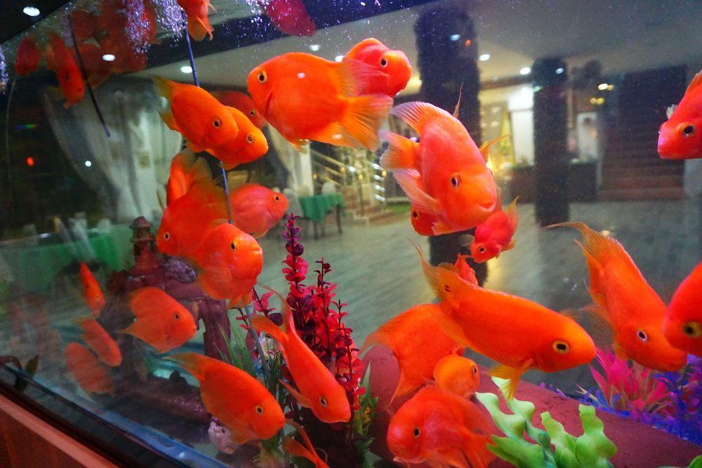 Фото Suppamitr Villa Hotel