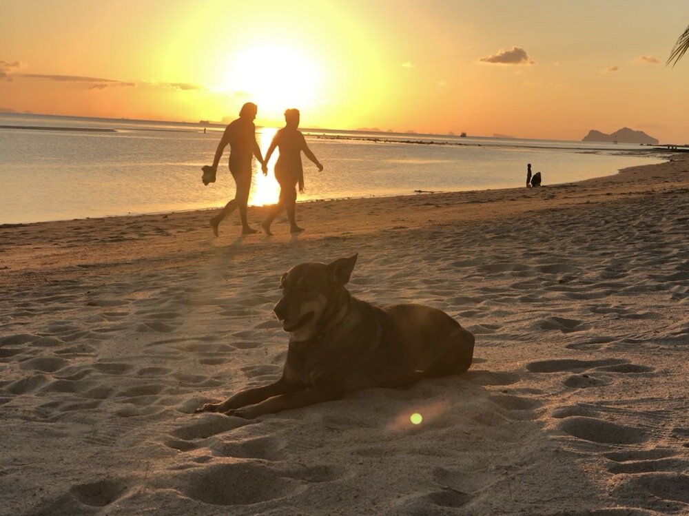 Фото Sarana Bungalows