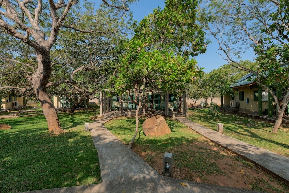 Фото Elephant Reach Yala