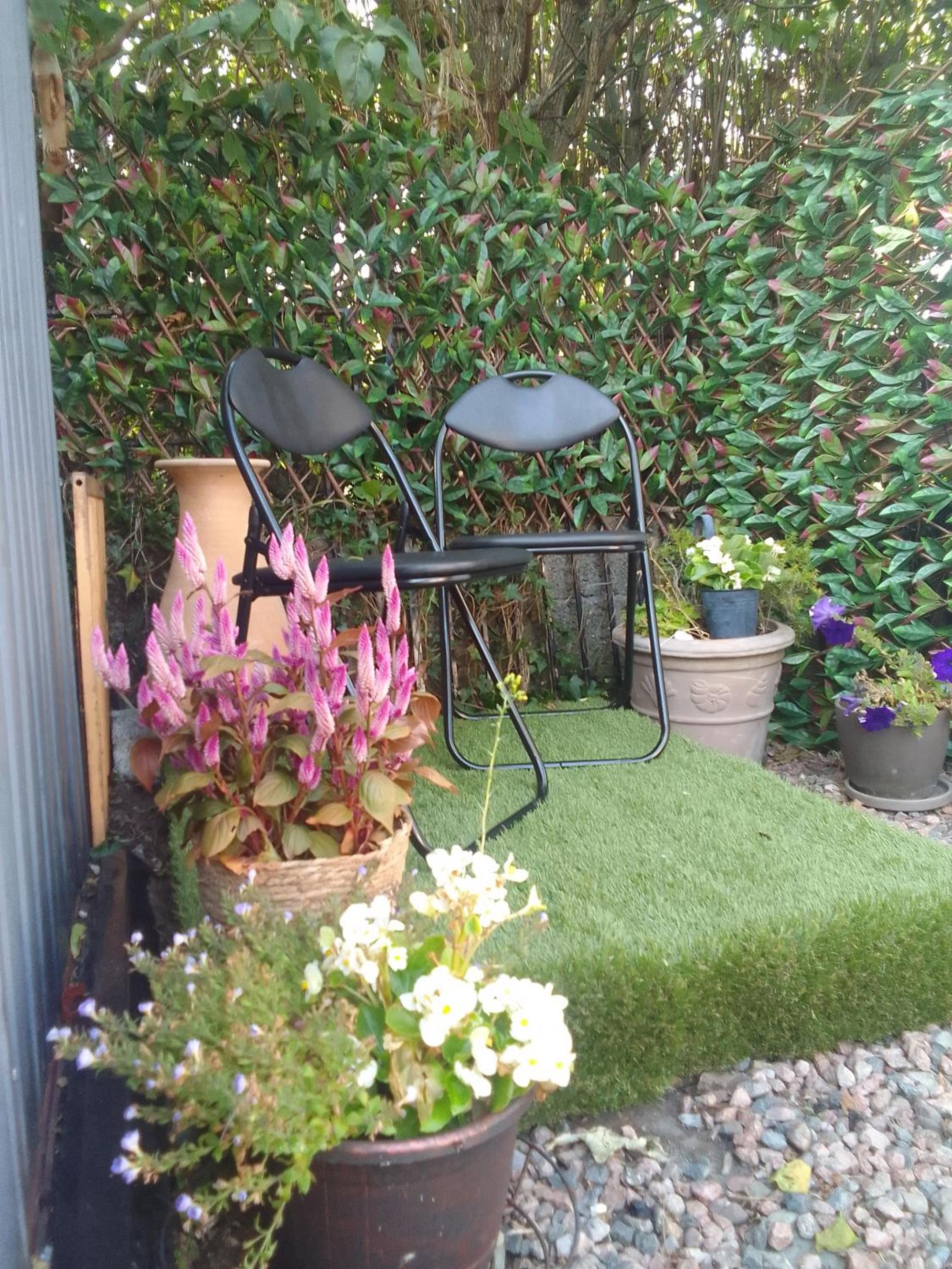 Фото The Oystercatcher